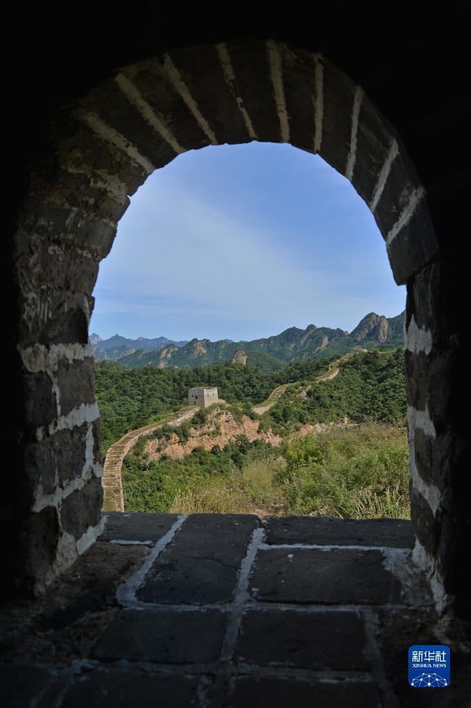 心博天下
